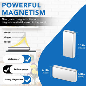 LOVIMAG magnets on fridge showcase compact strength for photo and note display.