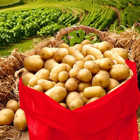 LOVYNO potato sack bags for outdoor games and easy cleanup after events