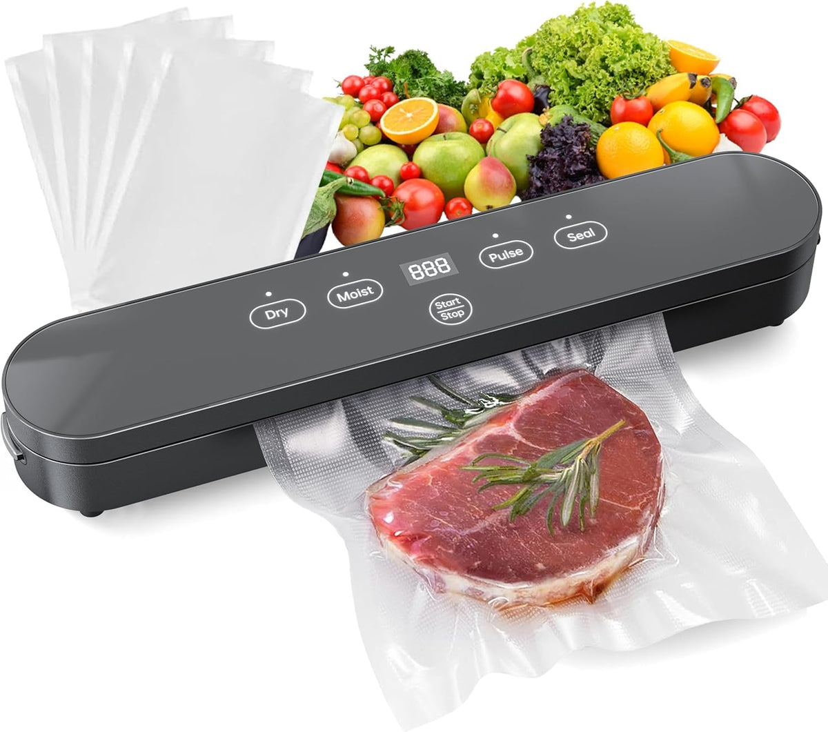 LSA Apparel Food Vacuum Sealer front view highlighting compact design for kitchens