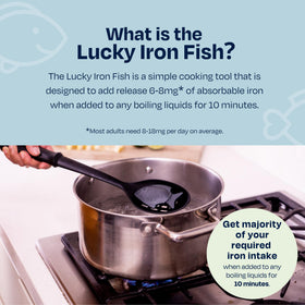 Lucky Iron Fish added to water for tasteless iron fortification.
