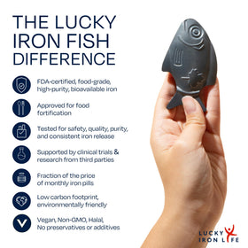 Lucky Iron Fish blended into a smoothie for easy iron intake.