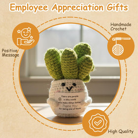 LUICONMO crochet succulent adds warm desk charm with maintenance-free appeal.