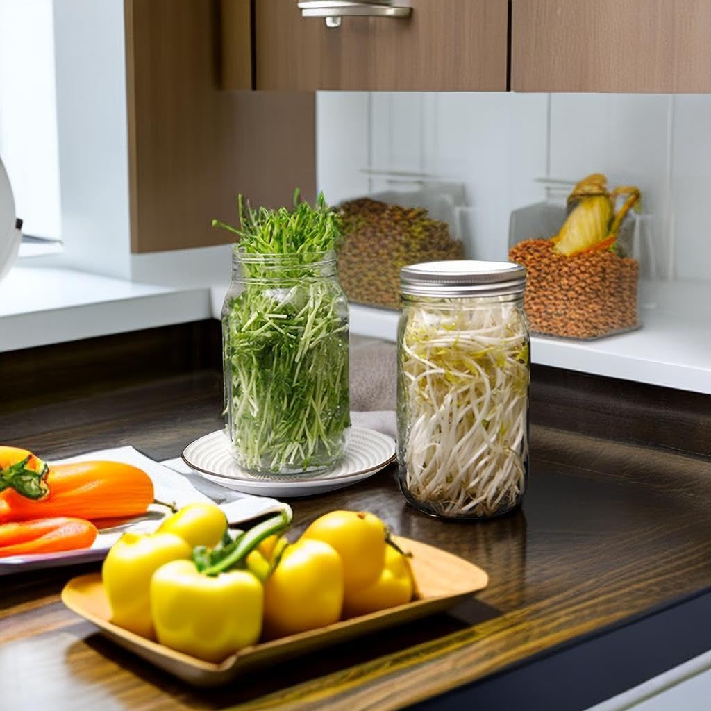 Lulonpon One Sprouting Jar Kit broccoli sprouts ready in days.
