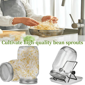 Lulonpon One Sprouting Jar Kit scrub brush simplifies cleaning after sprouting.