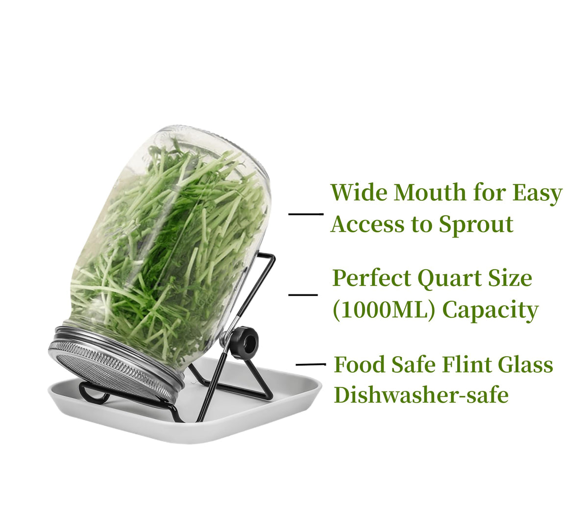 Lulonpon One Sprouting Jar Kit stainless steel germination lid promotes better airflow.