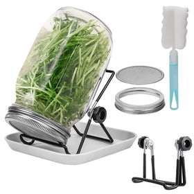 Lulonpon One Sprouting Jar Kit wide-mouth jar for easy home sprouting.