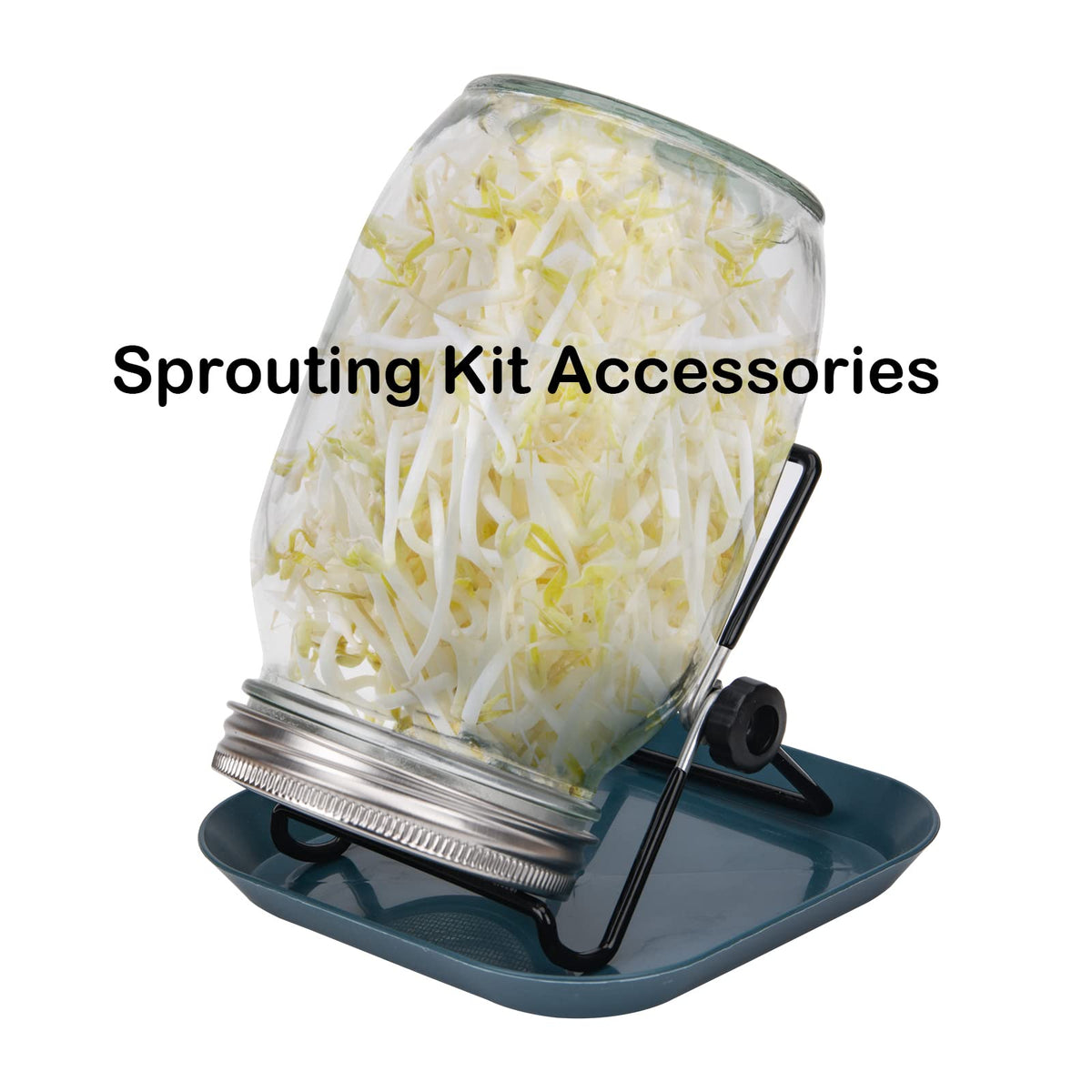 Lulonpon sprouting tray set with lid supports even airflow and drainage