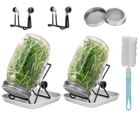 Lulonpon sprout jar kit: glass jar with mesh lid for easy at-home sprouting
