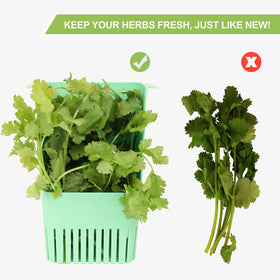 LUVCOSY fits neatly in fridge door for convenient herb organization.