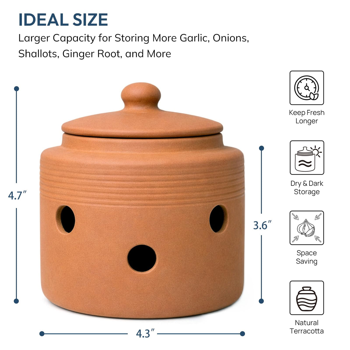 LUXCONE garlic container with lid highlighting terracotta construction