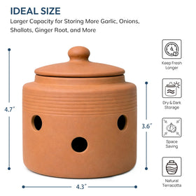 LUXCONE garlic container with lid highlighting terracotta construction