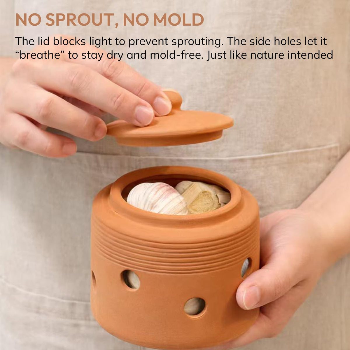 LUXCONE terracotta garlic holder emphasizing porous material that absorbs moisture
