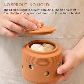 LUXCONE terracotta garlic holder emphasizing porous material that absorbs moisture