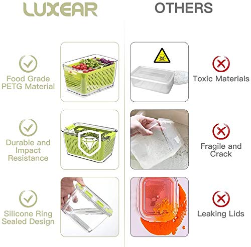LUXEAR portable design ideal for picnics and road trips