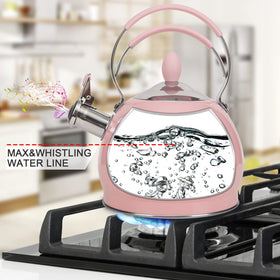 Luxgrace 2.6 Qt kettle on induction stove demonstrates broad compatibility.