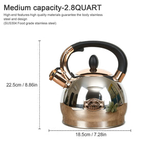 LUXGRACE induction‑compatible kettle works on multiple stove types.