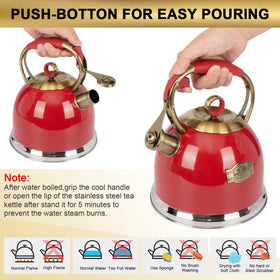 LUXGRACE tea kettle induction-compatible for versatile stove use