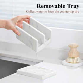 Luxspire two-slot design keeps dish and cleaning sponges separate