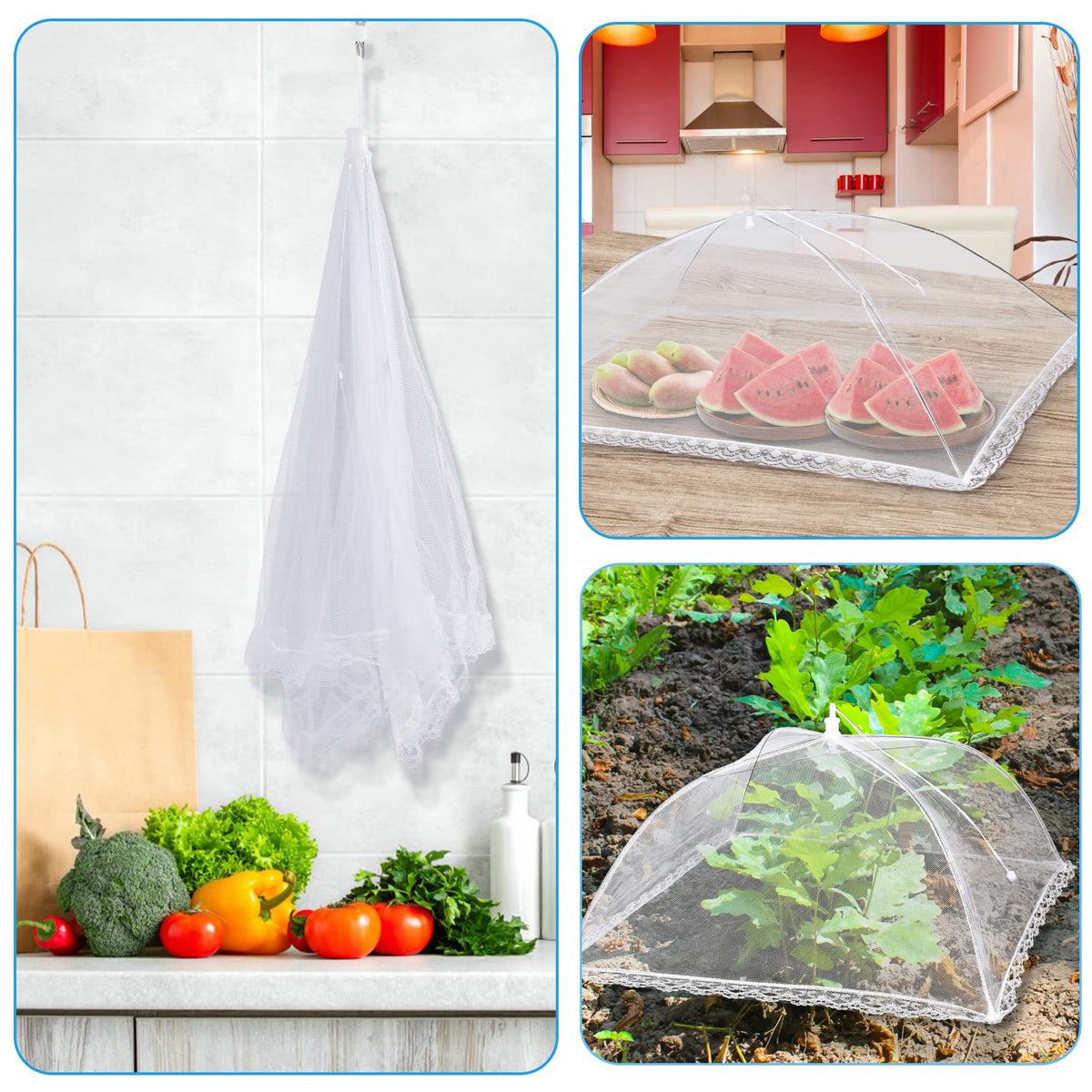 LYDTICK garden plant protector keeping seedlings safe