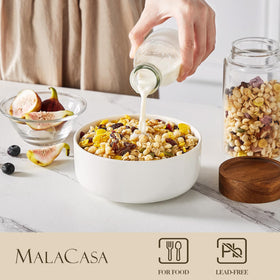 MALACASA LUNA porcelain bowls close-up glaze highlights stain resistance.