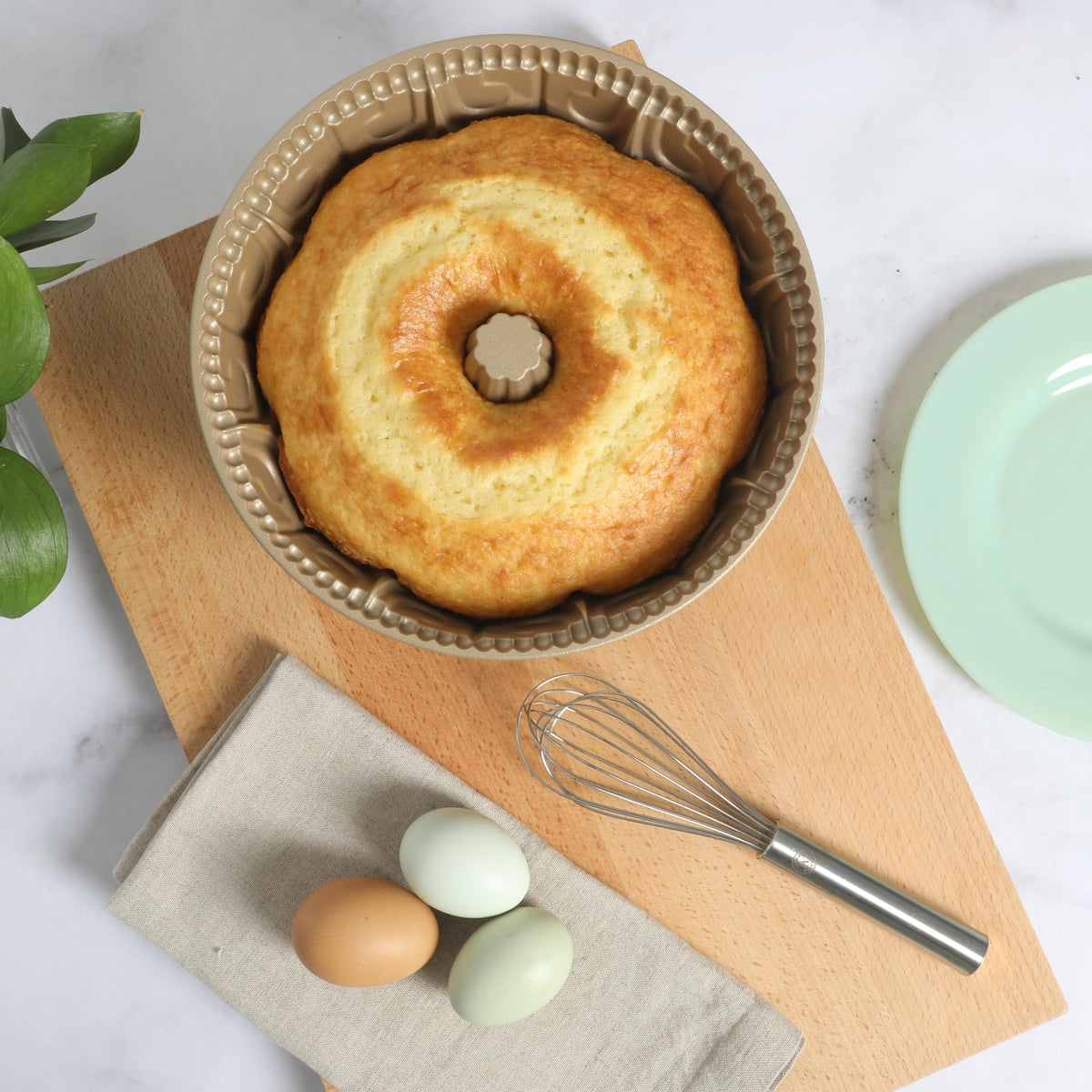 Martha Stewart Dunelle inner view emphasizes the 12-cup capacity for generous servings.