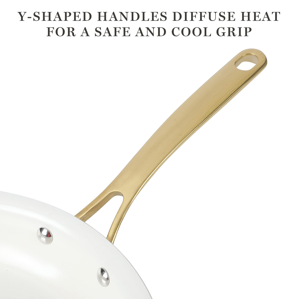 Martha Stewart Lockton 10-inch fry pan with lid for browning