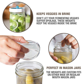 Crystal-clear Masontops Pickle Pebble close-up for monitoring brine