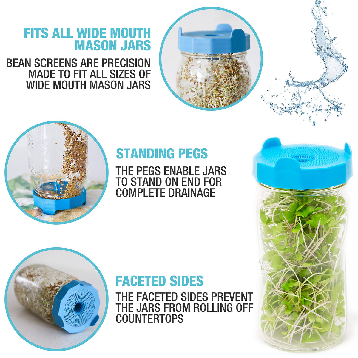 Masontops wide-mouth-jar-strainer-lid promotes airflow and steady sprouting.