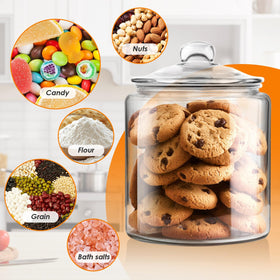 Masthome transparent glass container showing contents clearly