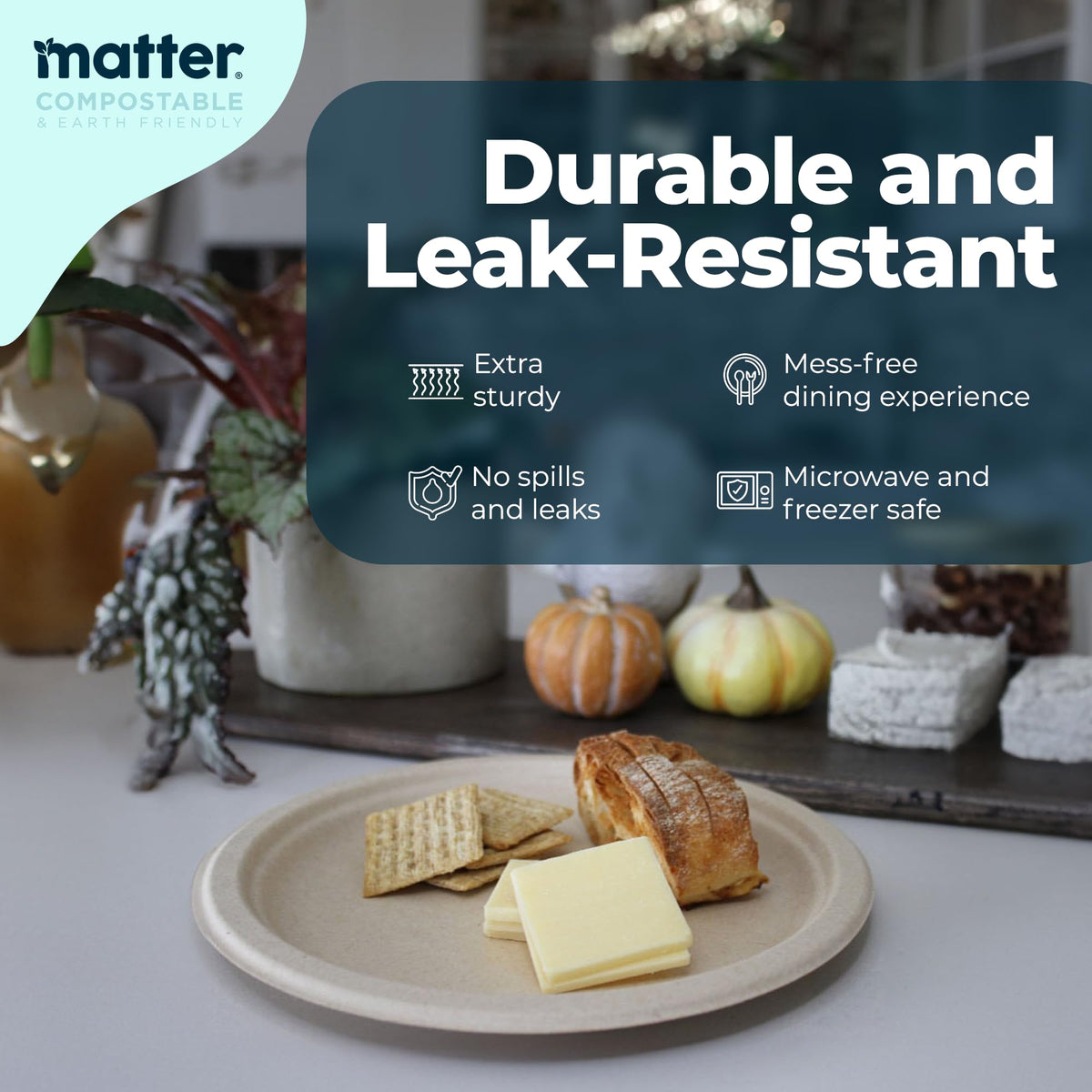 Matter compostable 9-inch plates at picnic, ideal for salads and mains outdoors.