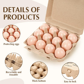 Maxdot egg cartons with 12-egg capacity protect eggs in transit and on shelves.