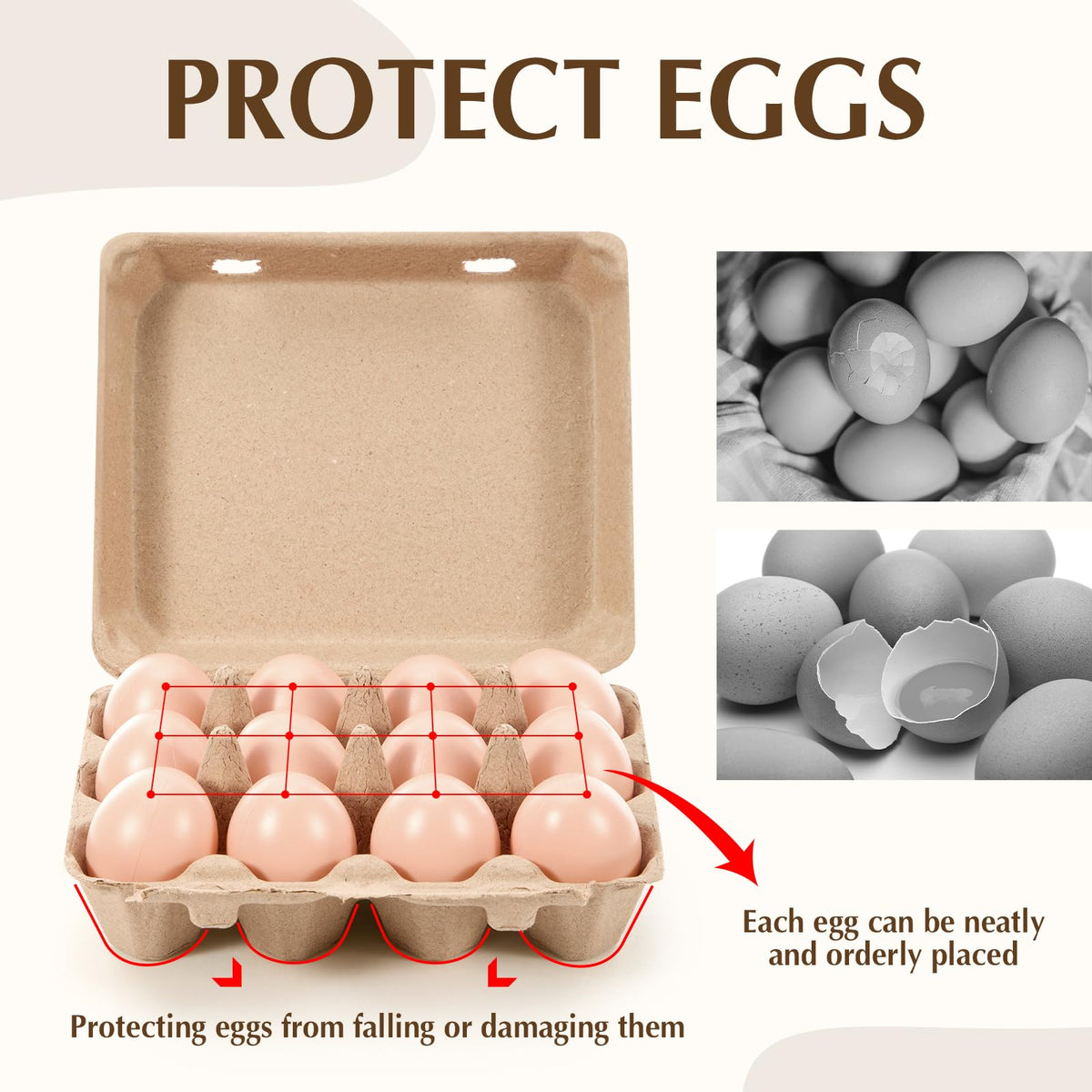 Maxdot 3x4 compartments fit standard eggs snugly without extra space.