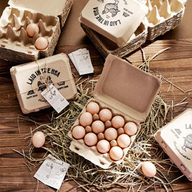 Maxdot cartons include instruction cards and jute rope for easy handling.
