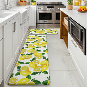 MAYHMYO lemon kitchen mat versatile for laundry room or office
