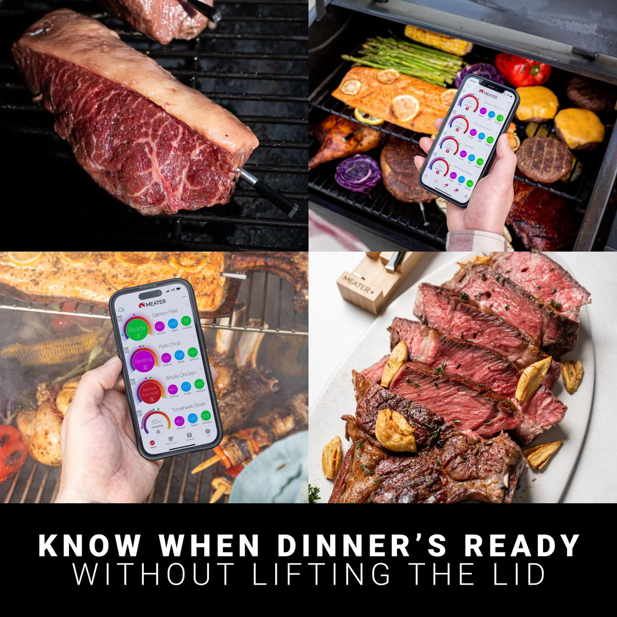 MEATER Block in standalone mode for grill or smoker use