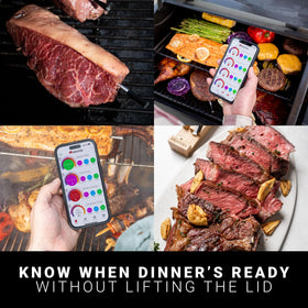 MEATER Block in standalone mode for grill or smoker use