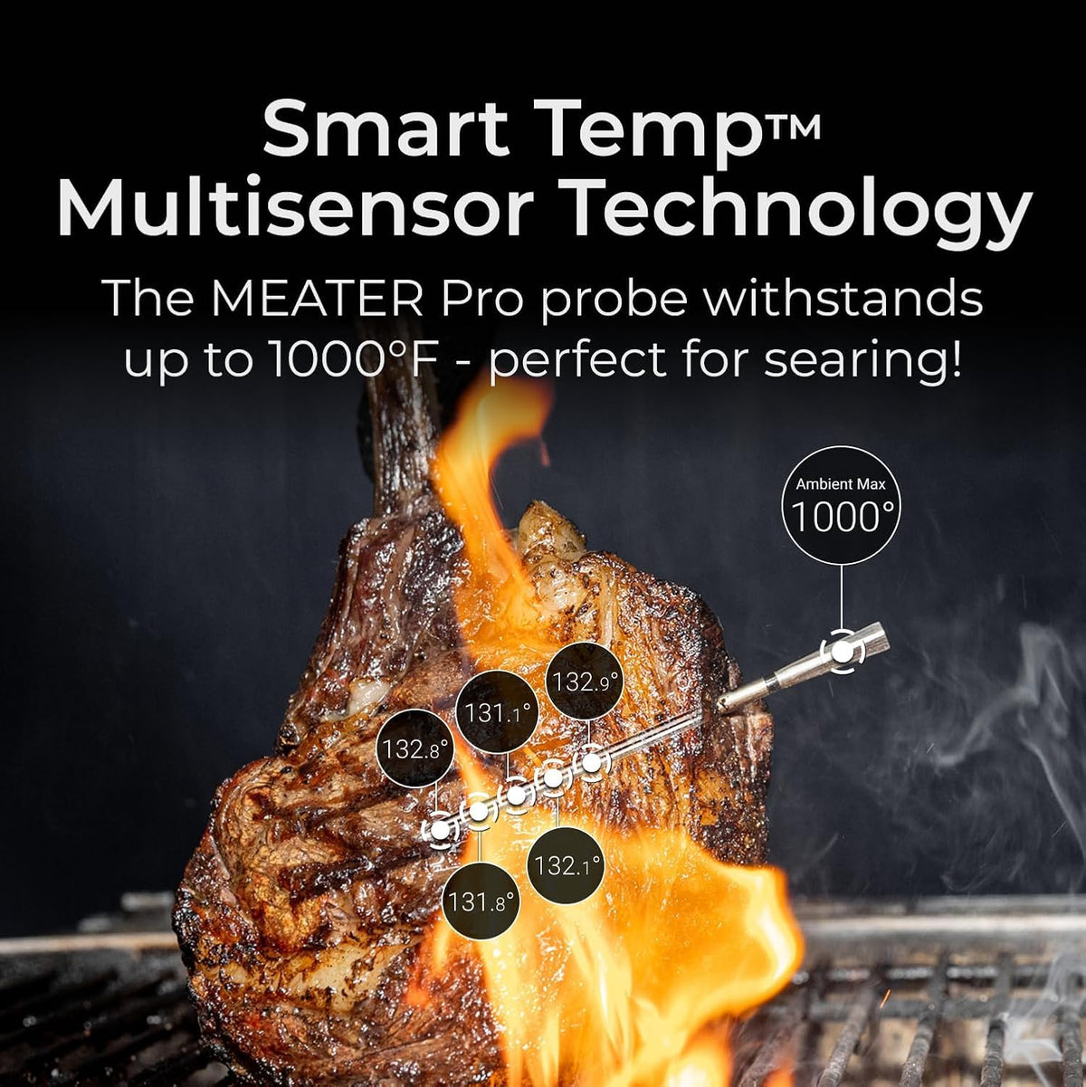MEATER Pro app connectivity lets you monitor from anywhere