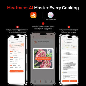Meatmeet Pro stainless steel probe ready for meat insertion.