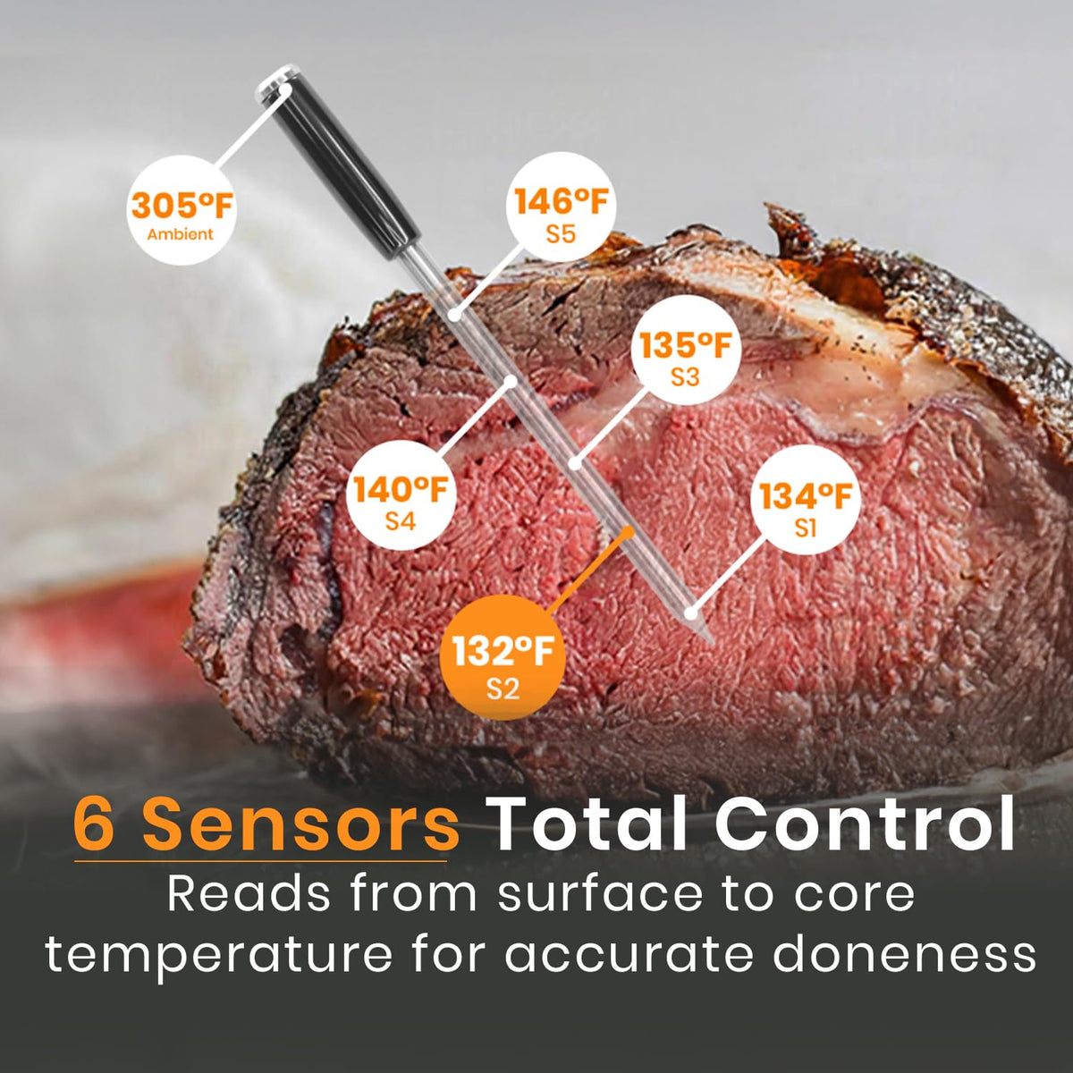 MeatStick V Prime probe engineered for 1200°F high-heat cooking
