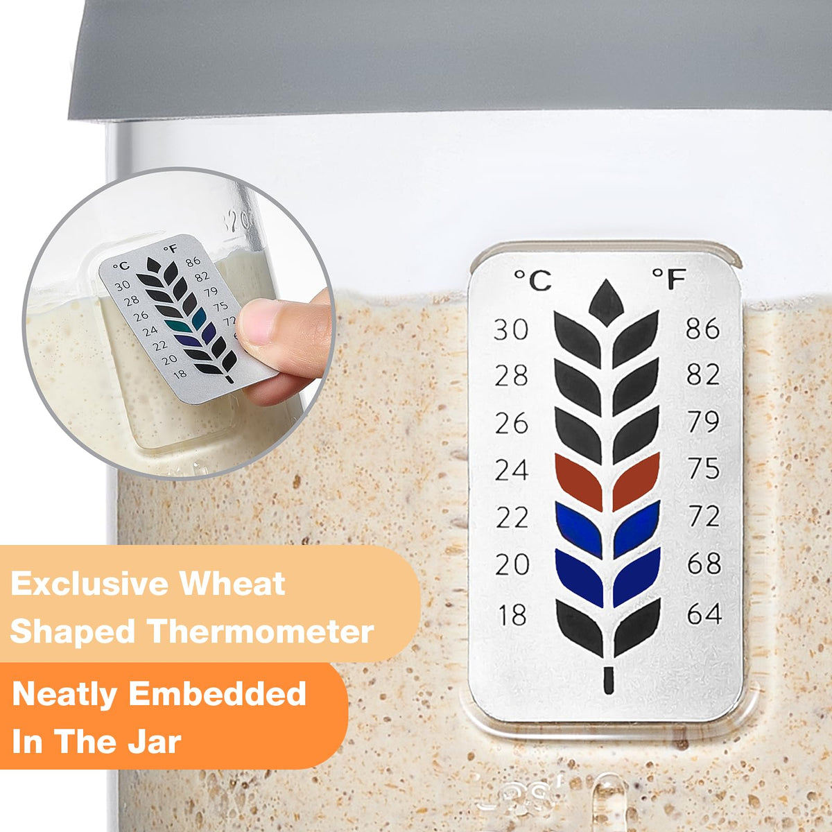 Meolibour silicone lid and base provide airtight cover and non-slip stability.
