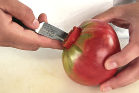 Mercer Renaissance paring knife ergonomic handle for comfortable grip