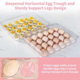 BPA-free clear plastic used in MesRosa egg carrier for safe storage.