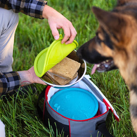 Messy Mutts colorful silicone lids for color-coded meal organization