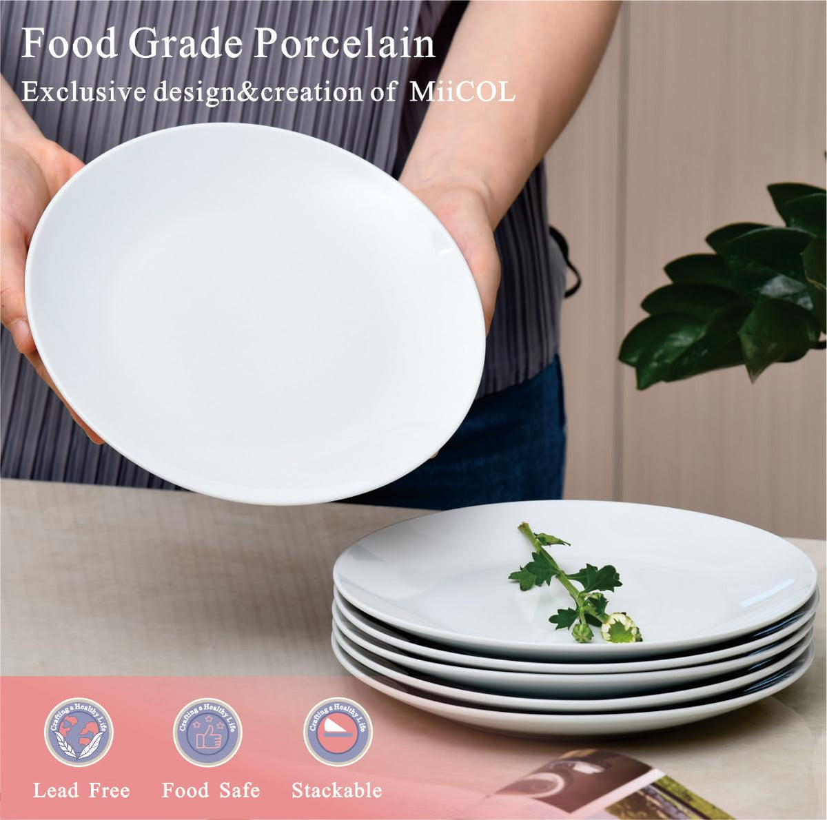 Miicol porcelain plate with smooth glaze—easy to clean and stain resistant.