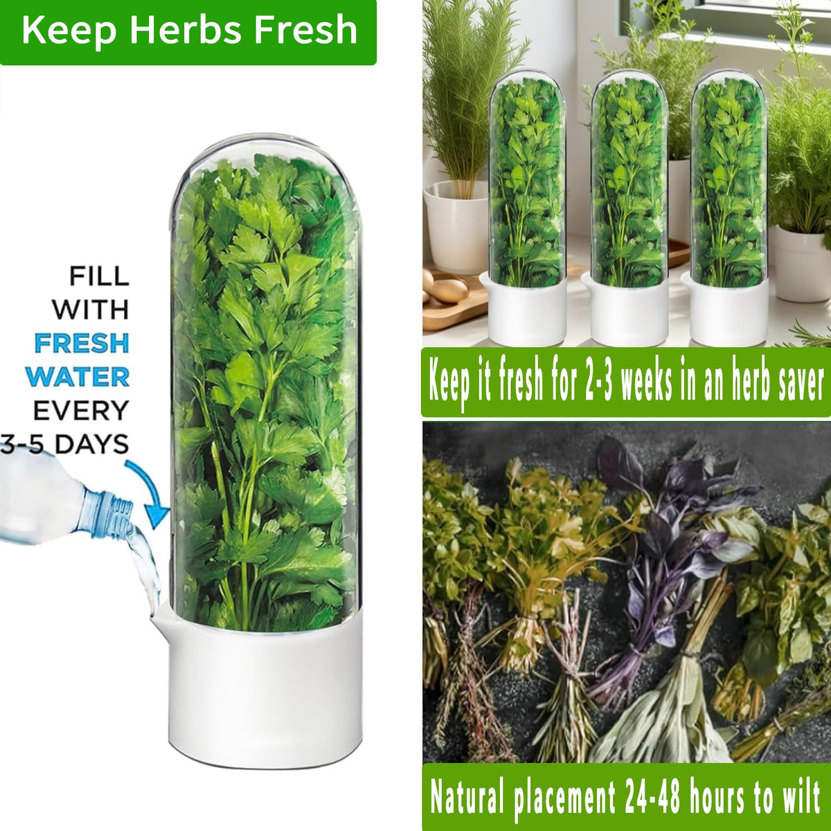 Minkeytal cilantro container in fridge preserves greens longer.