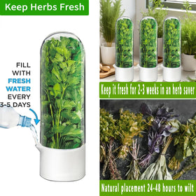 Minkeytal cilantro container in fridge preserves greens longer.
