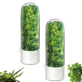 Minkeytal herb saver with fridge lid keeps cilantro fresh and easy to view.