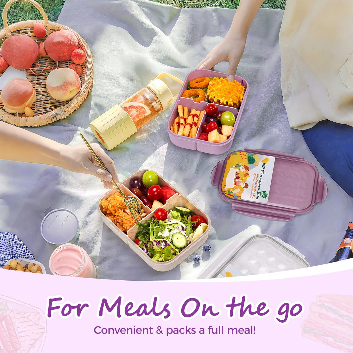 Miss Big lunch box kids three-compartment design for balanced meals at home or school