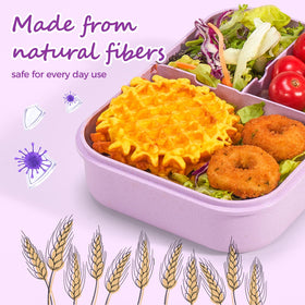 Miss Big lunch box kids dishwasher-safe, easy cleanup after meals