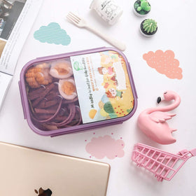 Miss Big lunch box kids transparency verification for quality assurance